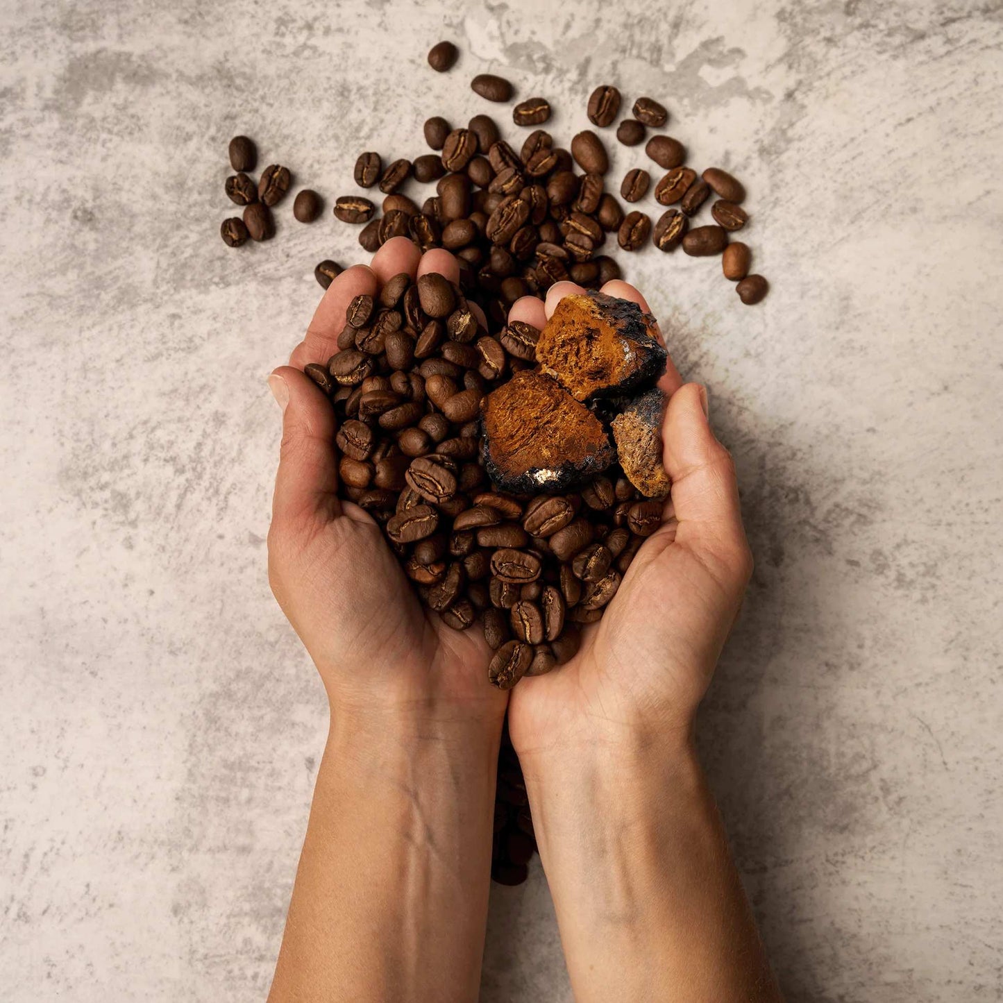 Mushroom Life Chaga Coffee