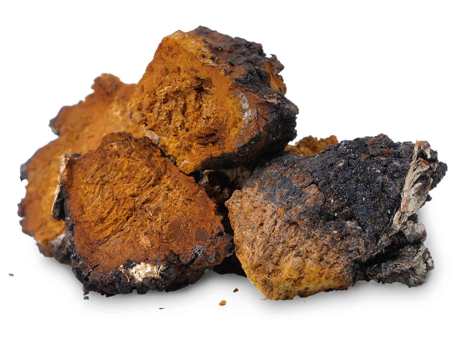 Chaga Mushroom Extract